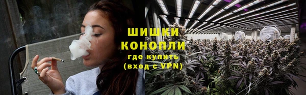 сатива Покровск