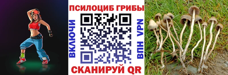продажа наркотиков  Обоянь  Галлюциногенные грибы прущие грибы 